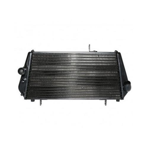 Radiateur Piaggio aprilia 750 dorsoduro 900 shiver -897162-