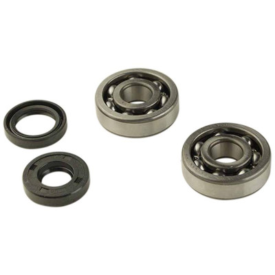 Kit roulements marque RSM (6303 c4) + joints spi pour mécaboite Minarelli AM6 type origine