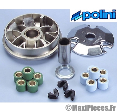 Vario polini speed control : peugeot speedfight ludix buxy tkr trekker vivacity zenith ...