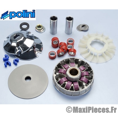 vario polini evolution 9 gallets : typhoon runner storm stalker piaggio nrg vespa ...