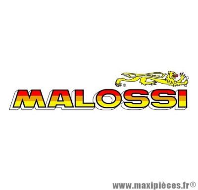 Grand autocollant / stickers Malossi (22x5.5cm) *Déstockage !
