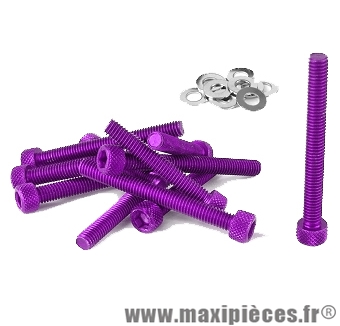 Kit vis carter btr violet pour peugeot buxy trekker speedfight 1/2 (x11) *Déstockage !