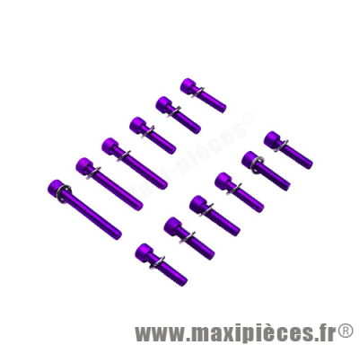 Kit vis carter btr violet pour mbk/yamaha booster bw's (x12) *Déstockage !