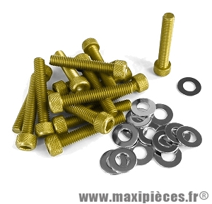 Kit vis carter btr Or pour piaggio/gilera typhoon (x15) *Prix spécial !