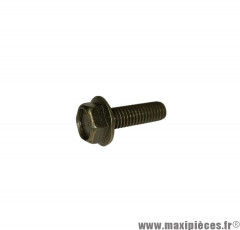 Vis M6x20 mm pour scooter / moto / 50 à boite / quad / maxiscooter / mobylette * Déstockage !