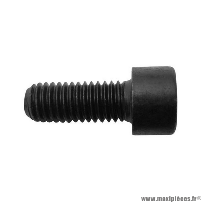 Vis BTR M8x20 mm noir pour scooter / moto / 50 à boite / quad / maxiscooter / mobylette * Déstockage !