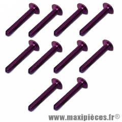 Lot de 10 vis Violet - tête bombé - cruciforme - 6x40mm *Déstockage !