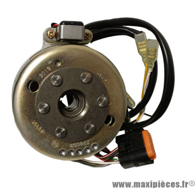 Allumage complet OEM pour moto enduro GAS-GAS 125/250/300 EC de 2001 à 2011 * Déstockage !