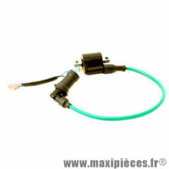 Bobine pour Moteur Piaggio 50cc 2T H2O 11cv conqueror automatique * Déstockage !