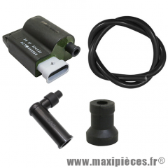 Bobine d'allumage/cdi origine pour maxiscooter Piaggio zip 06/2010 free 98/2005 Aprilia scarabeo 01/2005 100cc 4T (ducati) *Déstockage !