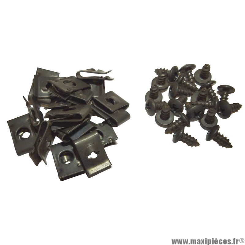 Kit de vis pour carrosserie + agrafe (kit de 20) M4x10