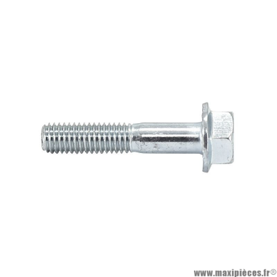 Vis de couronne (8x40mm) pour 50 à boite rieju rr, mrx