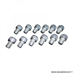 Vis chc 6 pans creux m8 x 10 mm chrome (x12) * Prix spécial !