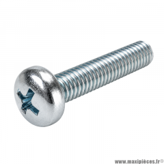 Vis à tête cylindrique bombée cruciforme M 5x20 mm 4.8 (Vendue à l'unité)