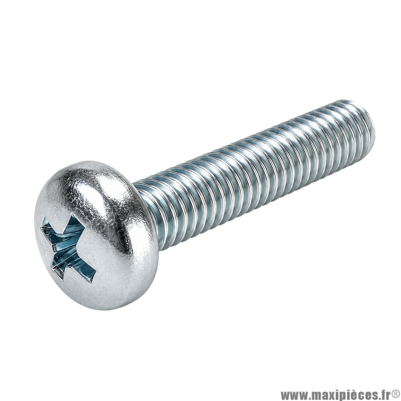 Vis à tête cylindrique bombée cruciforme M 5x20 mm 4.8 (Vendue à l'unité)