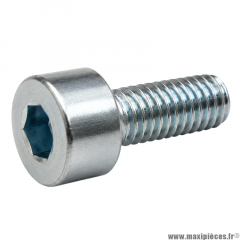 Vis BTR/CHC M 4x10 mm 8.8 (Vendue à l'unité)