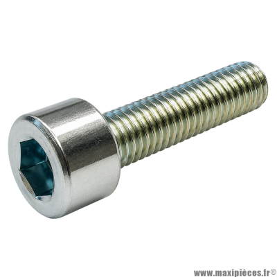 Vis BTR/CHC M 5x20 mm 4.8 (Vendue à l'unité)