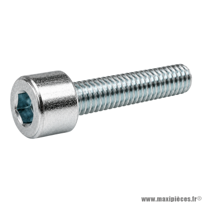 Vis BTR/CHC M 6x20 mm 8.8 (Vendue à l'unité)