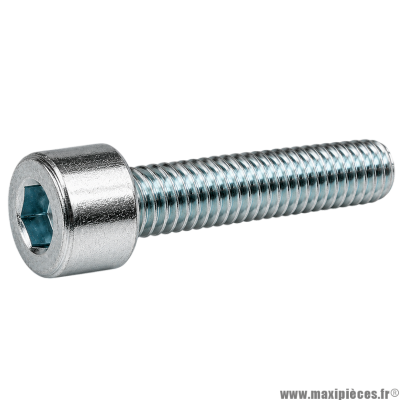 Vis BTR/CHC M 6x30 mm 8.8 (Vendue à l'unité)
