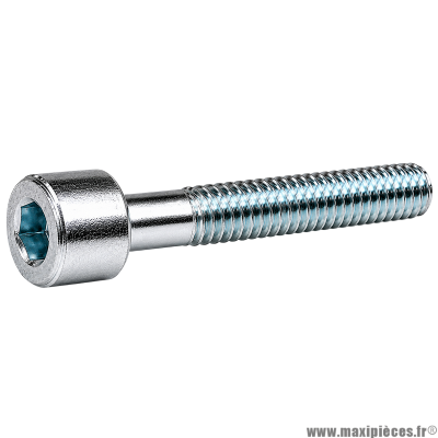 Vis BTR/CHC M 6x40 mm 8.8 (Vendue à l'unité)