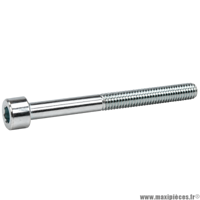 Vis BTR/CHC M 6x55 mm 8.8 (Vendue à l'unité)