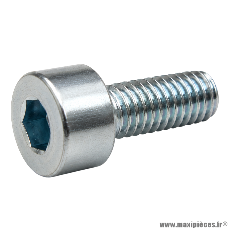 Vis BTR/CHC M 4x10 mm 8.8 (Vendue à l'unité)