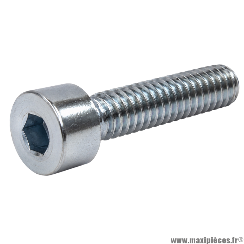 Vis BTR/CHC M 4x18 mm 8.8 (Vendue à l'unité)