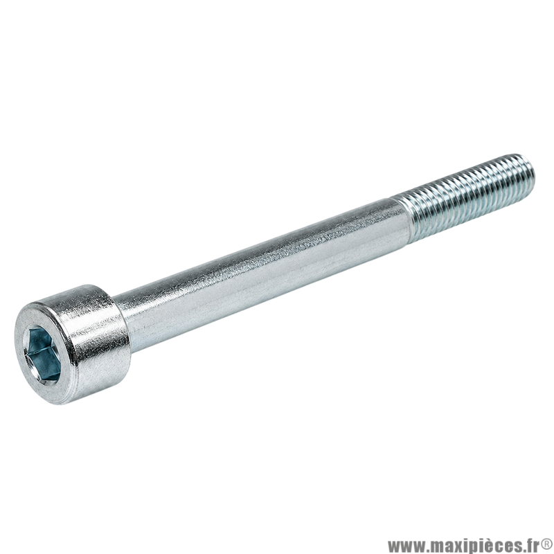 Vis BTR/CHC M 5x80 mm  4.8 (Vendue à l'unité)