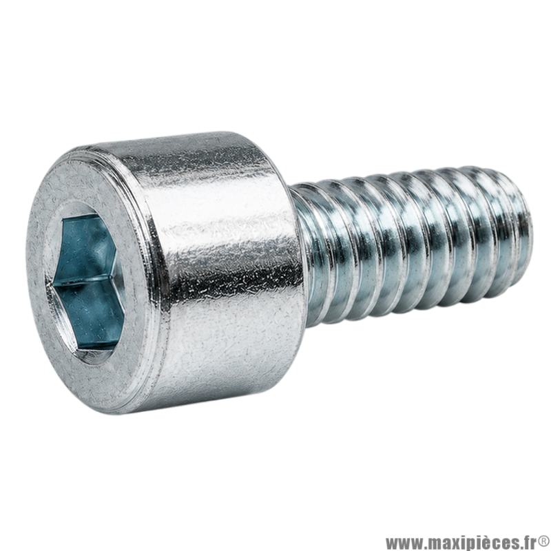 Vis BTR/CHC M 6x14 mm  8.8 (Vendue à l'unité)