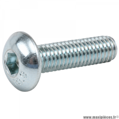 Vis BTR/BHC M 6x16 mm 10.9 (Vendue à l'unité)