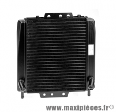 Radiateur type origine pour Piaggio mp3 400/500cc, Gilera fuoco 500cc