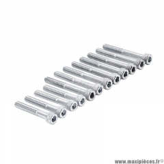 Pack de 12 vis pour carter moteur Derbi senda 2T 50cc motorisation euro 3/4