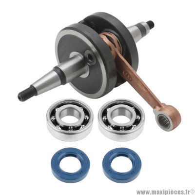 Vilebrequin top perf avec roulement et joint spy pour moteur euro3 aprilia rs rx 50 derbi gpr senda drd x-race gilera rcr smt...