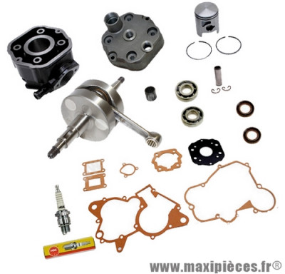 Pack kit moteur complet type origine(haut moteur, vilo, roulement, joint...)pour: euro2 derbi gpr 50 racing r nude senda drd sm x-treme...(moteur ebs050)