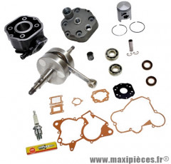 Pack kit moteur complet type origine(haut moteur, vilo, roulement, joint...)pour: euro2 derbi gpr 50 racing r nude senda drd sm x-treme...(moteur ebs050)