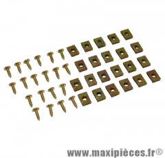 Kit de vis pour carrosserie + agrafe (kit de 20) M4x12