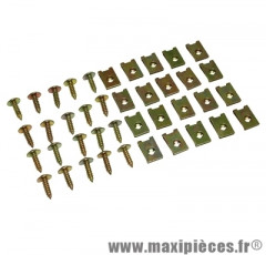 Kit de vis pour carrosserie + agrafe (kit de 20) M5x15