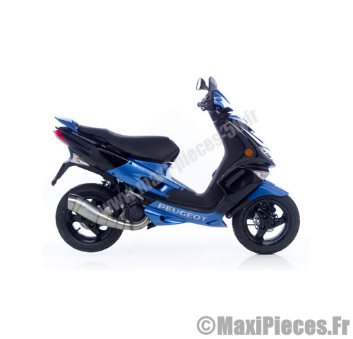 Peugeot_speedfight_pot_GP_leovince.png