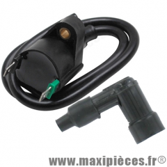 Bobine d'allumage adaptable pour peugeot trekker elyseo ludix speedfight vivacity tkr/piaggio fly free liberty nrg typhoon/gilera/honda/derbi * Prix spécial !