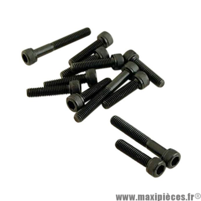 Kit vis (X12 noir) de carter/couvercle de variation/transmission pour scooter mbk booster et yamaha bws 2t 50cc