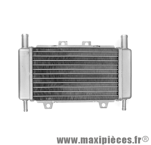 Radiateur_gilera_dna_runner_piaggio_zip.png