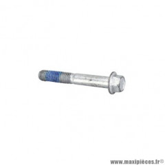 Vis (m6x40) origine piaggio pour toute la gamme -1a011120-