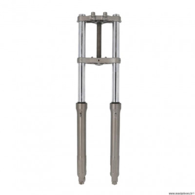 Fourche avant pour Mecaboite RIEJU MRT 50cc