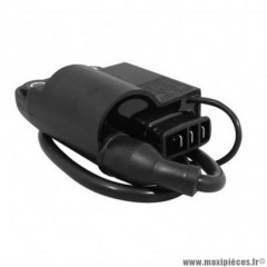 Bobine/cdi d'allumage Top Performances pour scooter piaggio/gilera typhoon nrg free liberty 50cc (type origine)