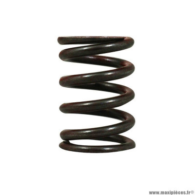 Ressort embrayage origine piaggio pour moto-guzzi 1100 sport, california, griso, breva, 850 breva, norge, v10, v11, strada, le-mans, bellagio (gu13084100)