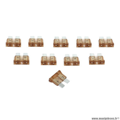 Fusible plat enfichable standard 5a (sachet de 10)