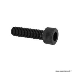 Vis btr m6x22mm boite a kick pour mbk 51