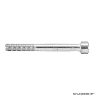 Vis chc 6 pans creux m8 x 80 mm chrome (x12)