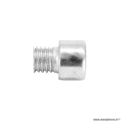 Vis chc 6 pans creux m10 x 10 mm chrome (x10)