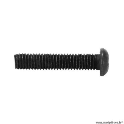 Vis a métaux tête cylindrique m4 x 35 mm noir (x10)